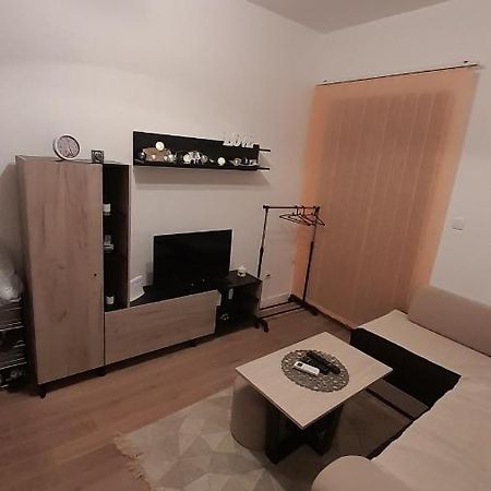 Apartman Tia Vrnjačka Banja Zewnętrze zdjęcie