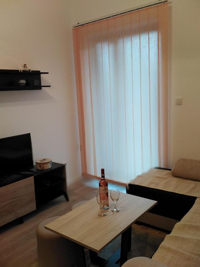 Apartman Tia Vrnjačka Banja Zewnętrze zdjęcie