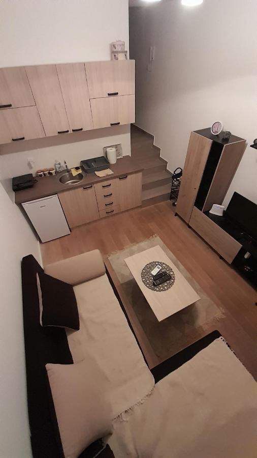 Apartman Tia Vrnjačka Banja Zewnętrze zdjęcie