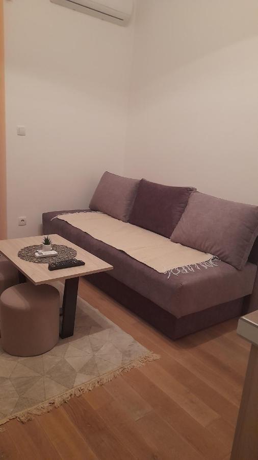 Apartman Tia Vrnjačka Banja Zewnętrze zdjęcie